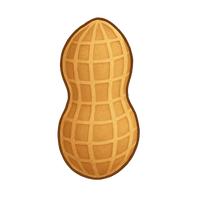 Gourmet Flavored Peanuts